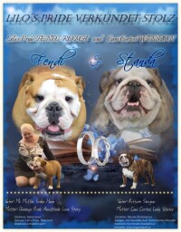 Fendi & Standa